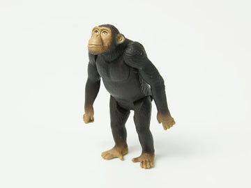 どうぶつ/いきもの アニア AS-14 チンパンジー