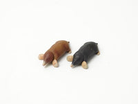 どうぶつ/いきもの アニア カプセルアニア モグラ(2体セット)