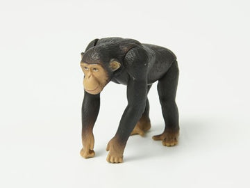 どうぶつ/いきもの アニア AS-14 チンパンジー